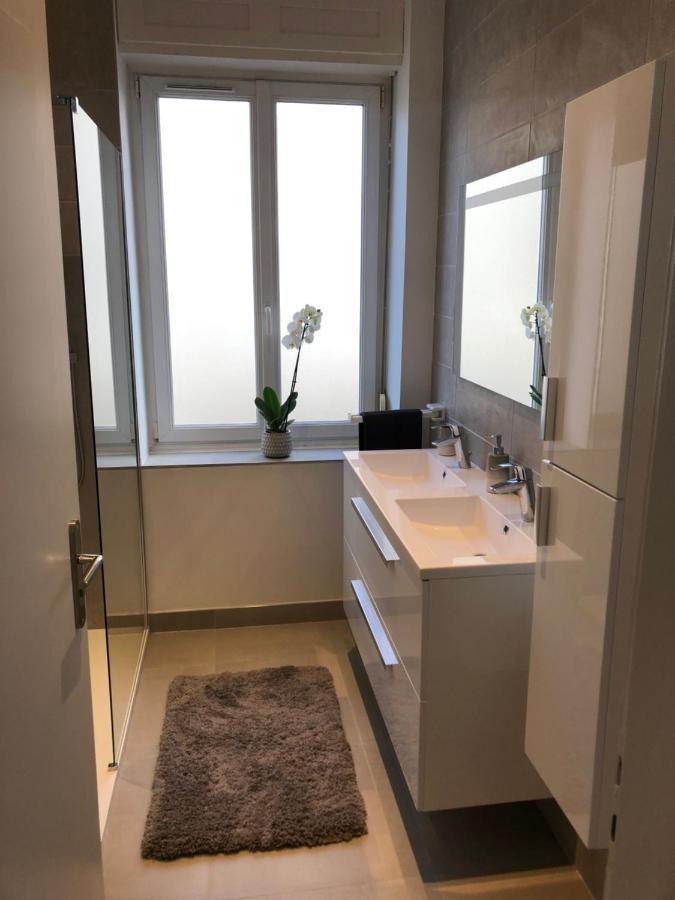 Appartement De Prestige Au Centre Climatise Avec Jardin Prive Кольмар Екстер'єр фото