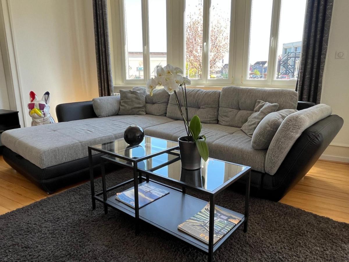 Appartement De Prestige Au Centre Climatise Avec Jardin Prive Кольмар Екстер'єр фото