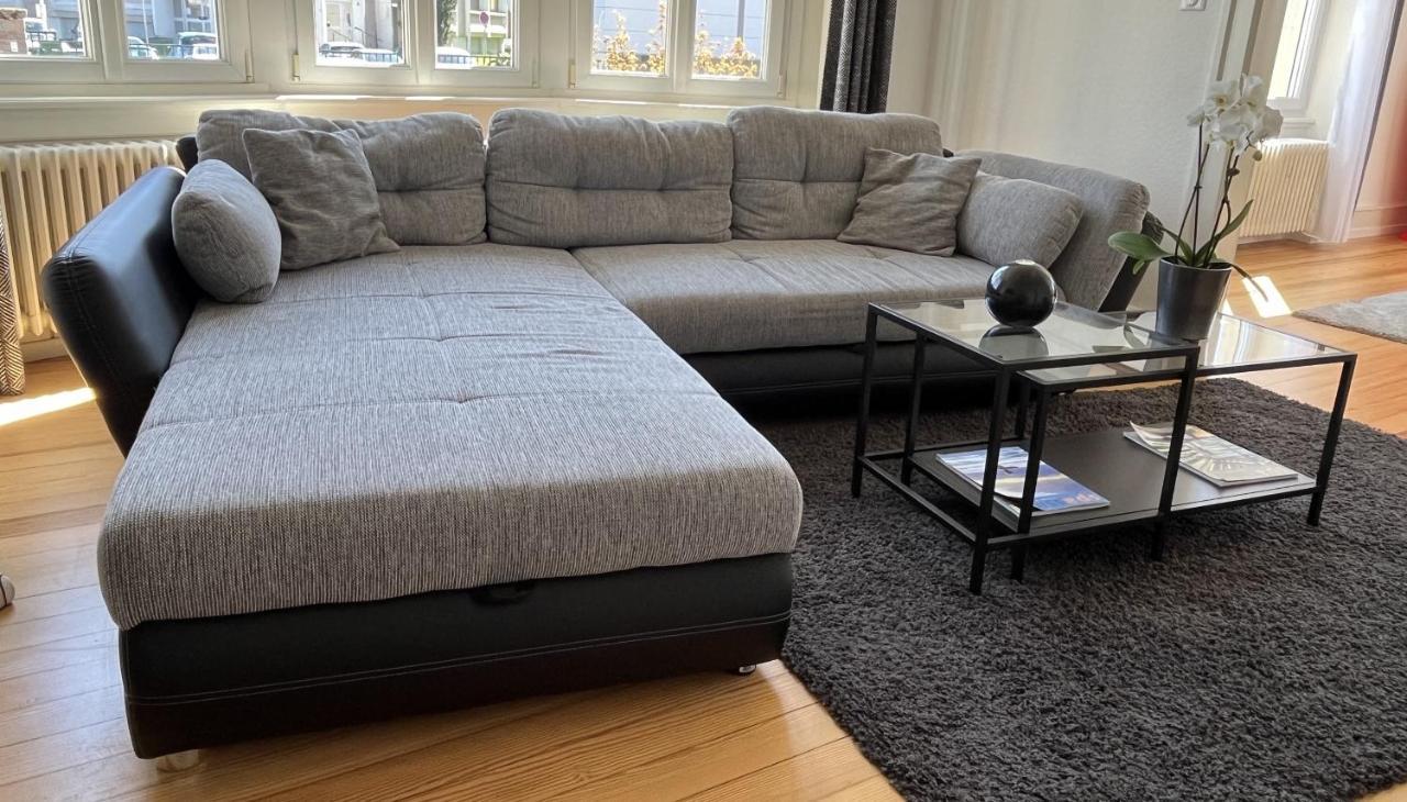 Appartement De Prestige Au Centre Climatise Avec Jardin Prive Кольмар Екстер'єр фото