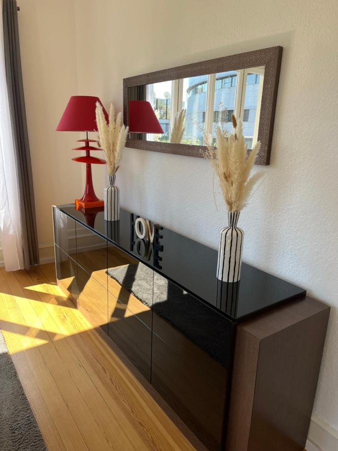 Appartement De Prestige Au Centre Climatise Avec Jardin Prive Кольмар Екстер'єр фото