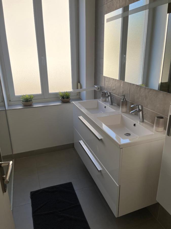 Appartement De Prestige Au Centre Climatise Avec Jardin Prive Кольмар Екстер'єр фото
