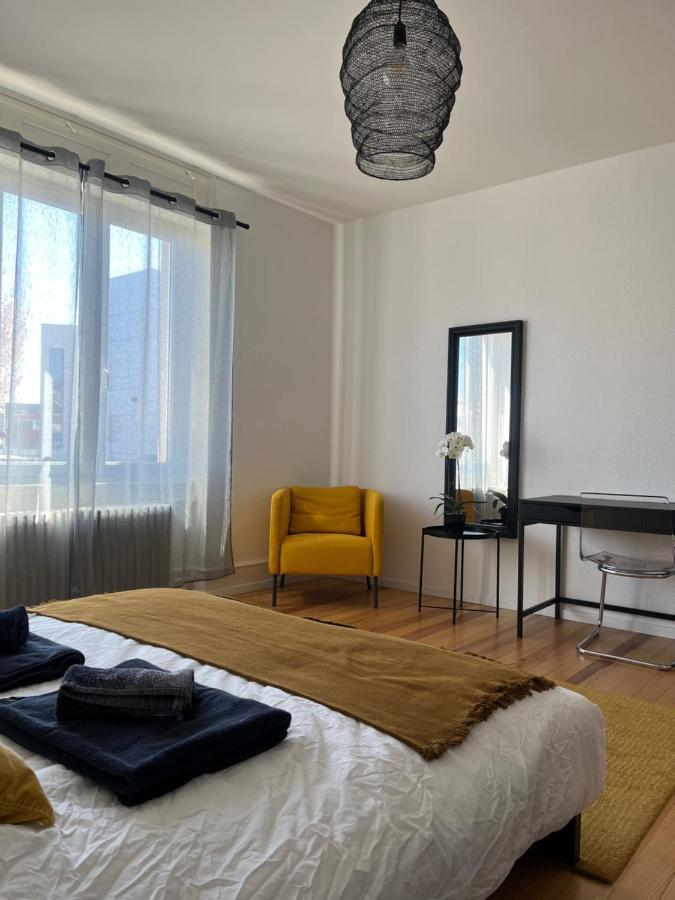 Appartement De Prestige Au Centre Climatise Avec Jardin Prive Кольмар Екстер'єр фото