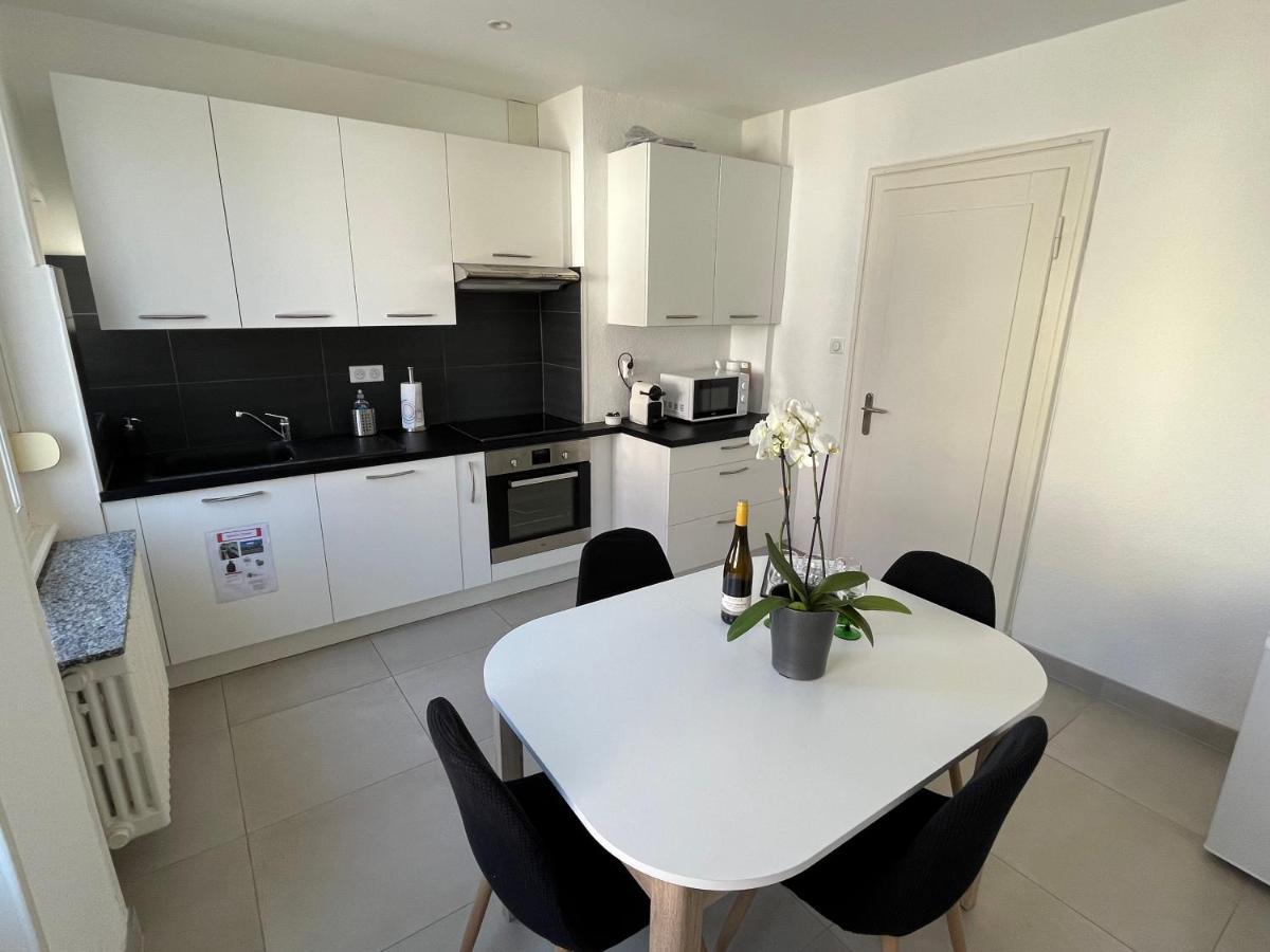 Appartement De Prestige Au Centre Climatise Avec Jardin Prive Кольмар Екстер'єр фото