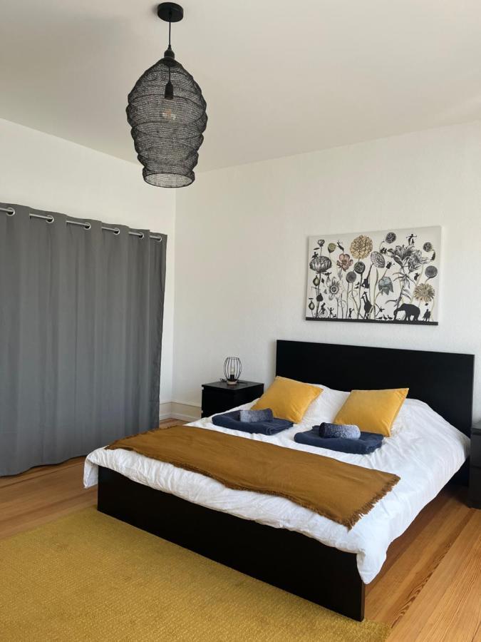 Appartement De Prestige Au Centre Climatise Avec Jardin Prive Кольмар Екстер'єр фото