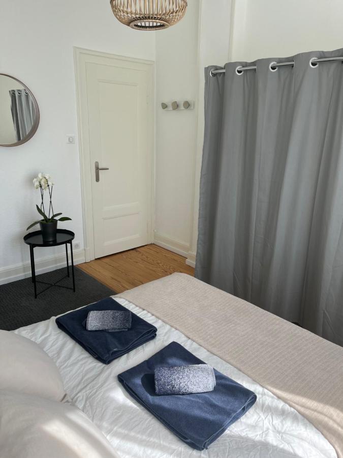 Appartement De Prestige Au Centre Climatise Avec Jardin Prive Кольмар Екстер'єр фото