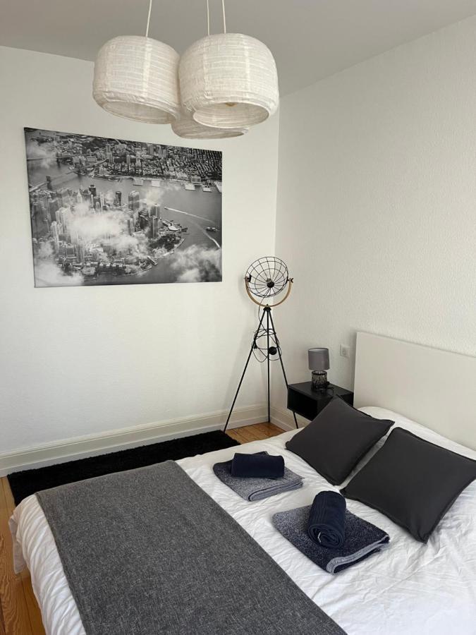 Appartement De Prestige Au Centre Climatise Avec Jardin Prive Кольмар Екстер'єр фото